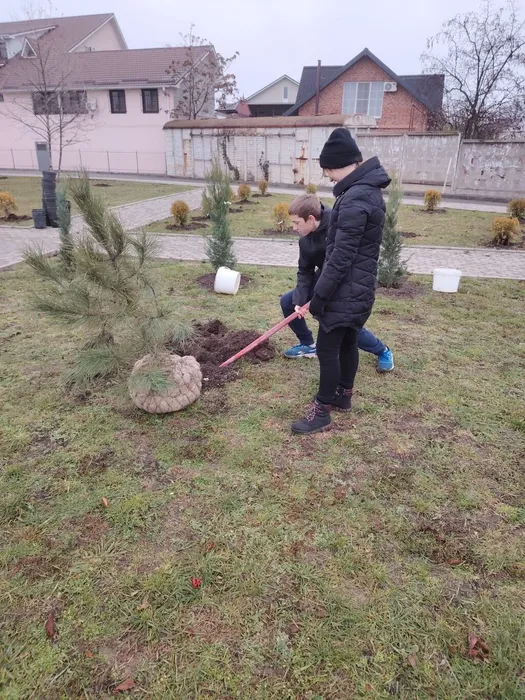 fe04d347-375d-4584-97a7-778d6d3d83b7