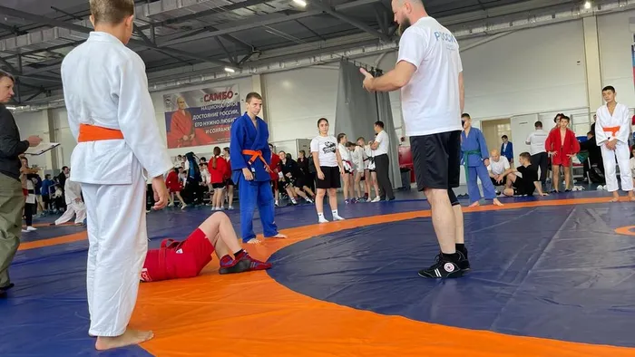 гто самбо п