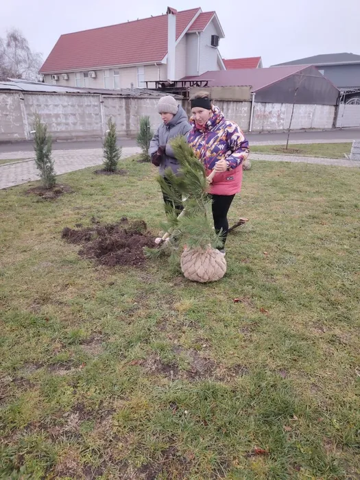 c0df8c9a-25e5-4b0a-b394-c2246ee0637c