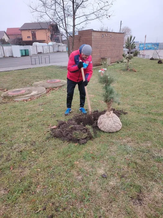 84c5e1f1-8f4d-4117-8cc3-4e040c9d195d